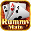 rummy teen icon